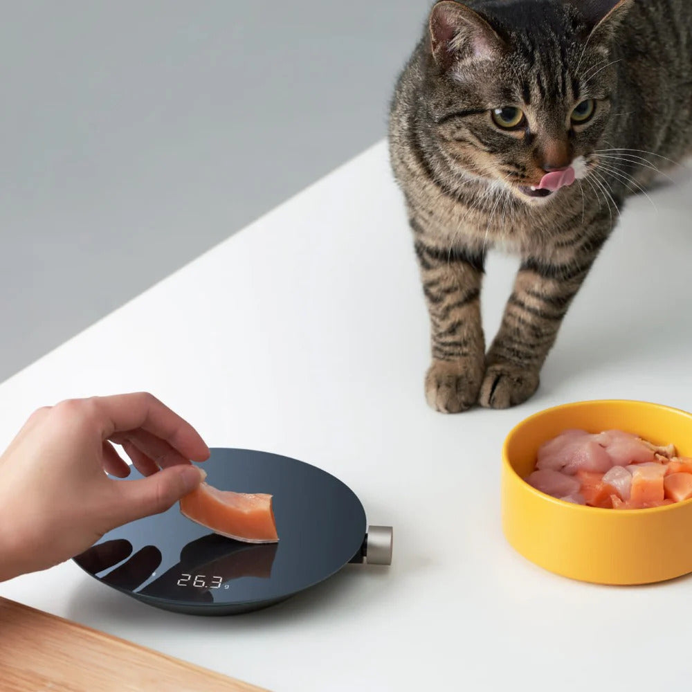 Hoto - Smart Kitchen Scale - Precyzycjna Waga Kuchenna Smart