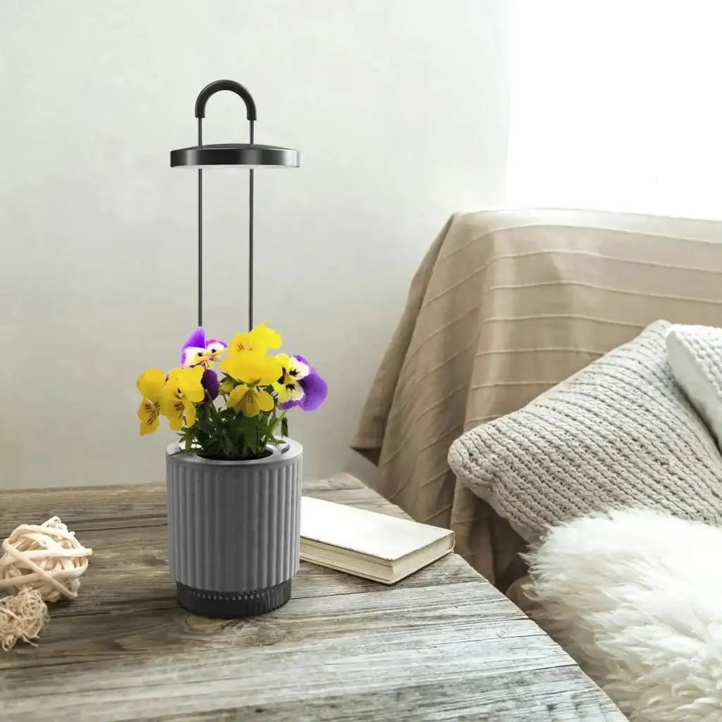 Click & Grow - HydroVase by Ermonix Indoor Plant Care Kit with LED Light - Doniczka z Lampą Led do Uprawy Roślin