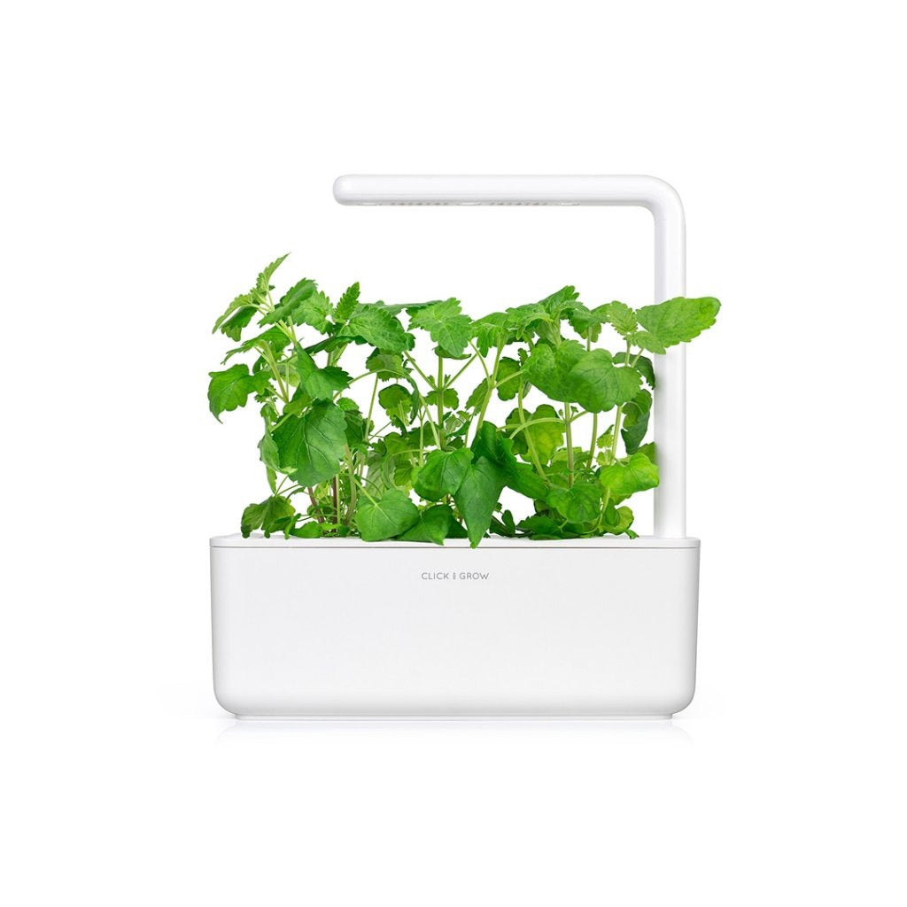 Click & Grow - Smart Garden Refill Catnip - Starter do Uprawy z Nasionami - Kocimiętka
