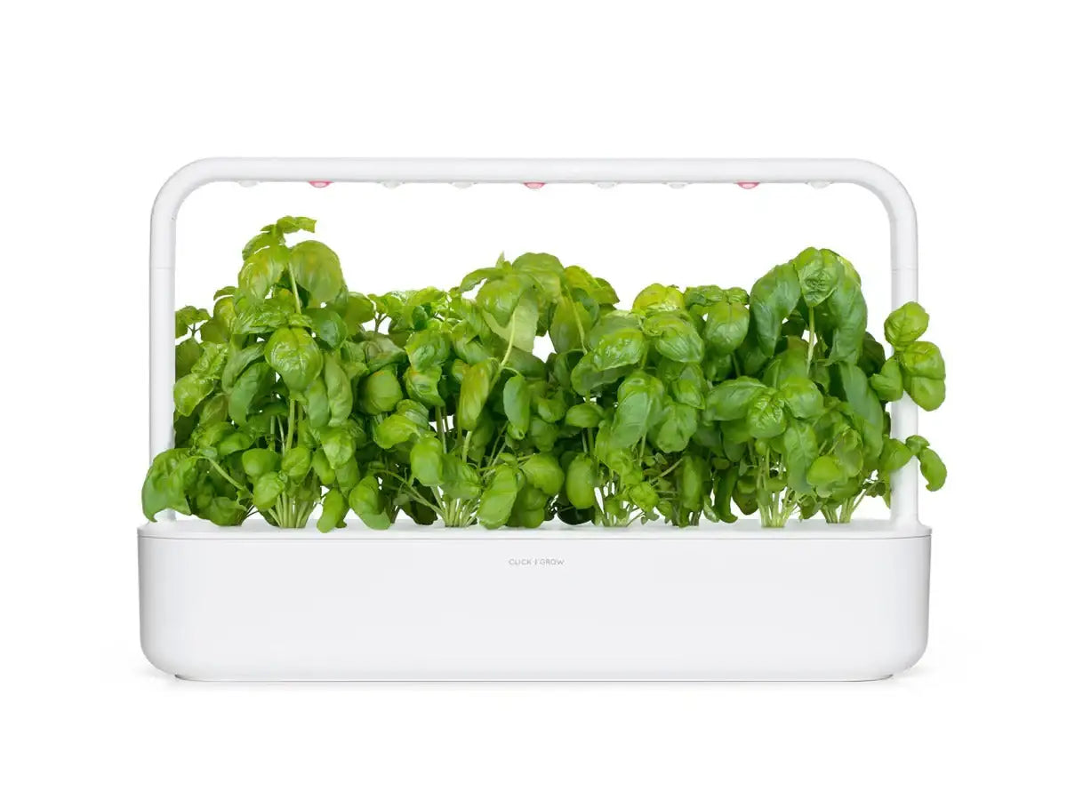 Click & Grow - Smart Garden Refill Basil - Starter do Uprawy z Nasionami - Bazylia