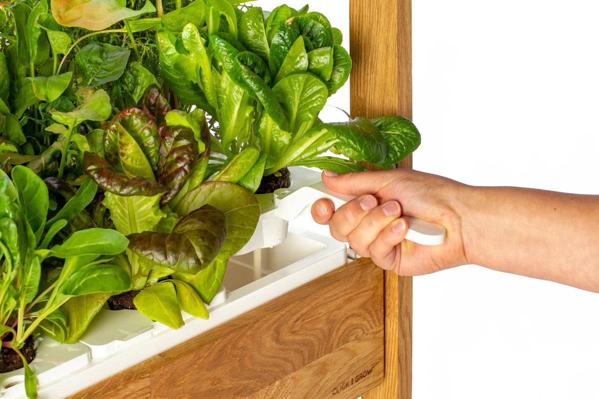 Click & Grow - 25 Indoor Starter Kit - Doniczka z Lampą Led do Uprawy Roślin