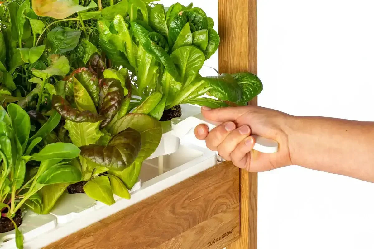 Click & Grow - 25 Indoor Starter Kit - Doniczka z Lampą Led do Uprawy Roślin