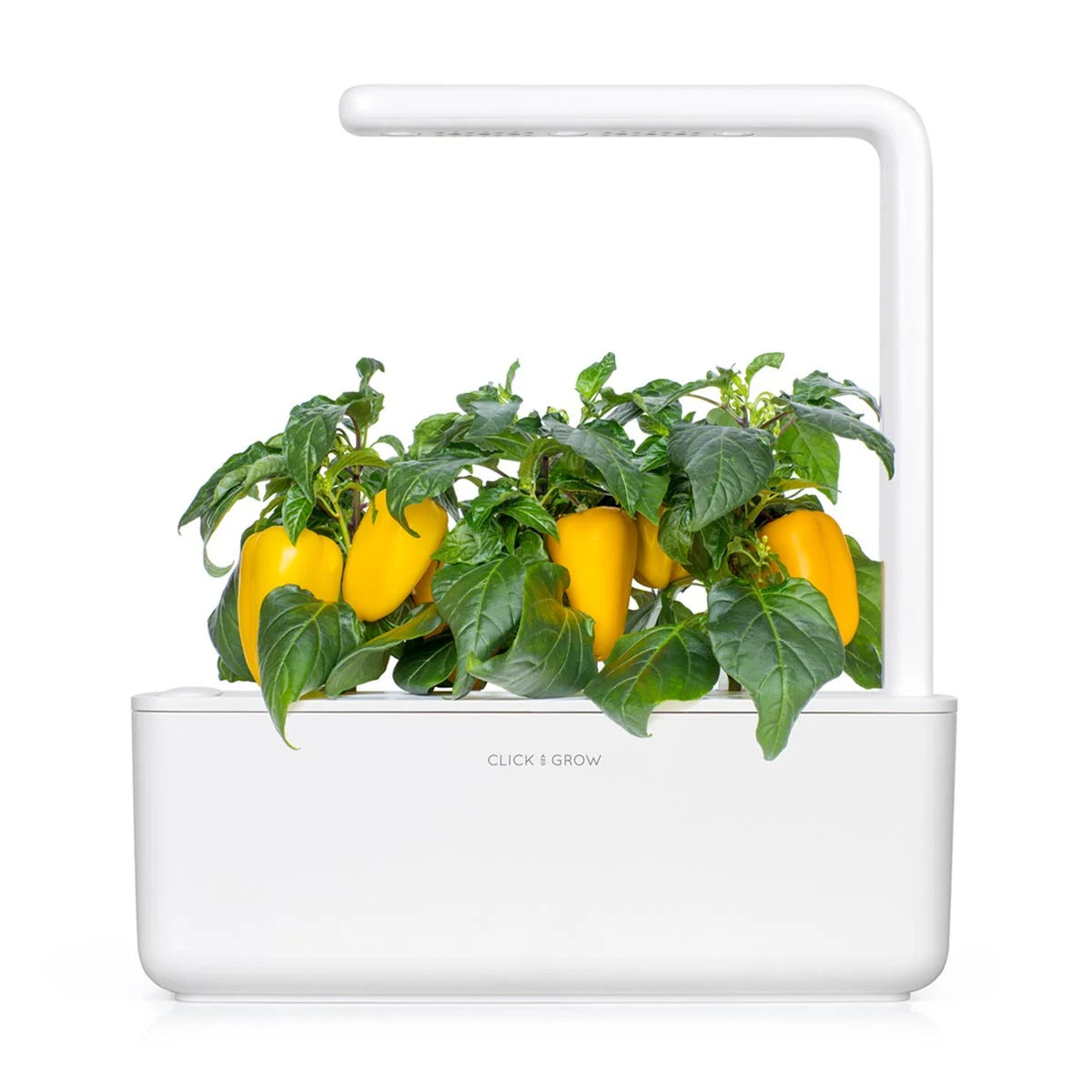 Click & Grow - Smart Garden Refill Yellow Sweet Peppers - Starter do Uprawy z Nasionami - Żółta Papryka Słodka