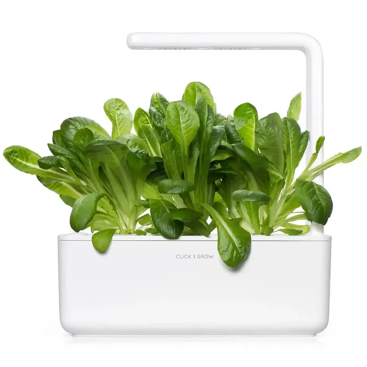 Click & Grow - Smart Garden Refill Romaine Lettuce - Starter do Uprawy z Nasionami - Sałata Rzymska