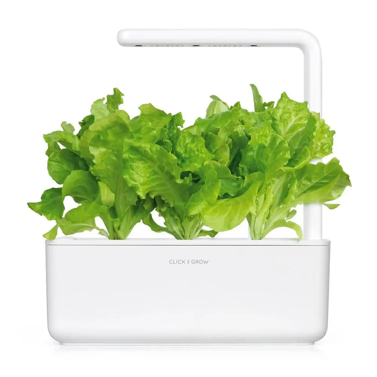 Click & Grow - Smart Garden Refill Green Lettuce - Starter do Uprawy z Nasionami - Sałata Siewna