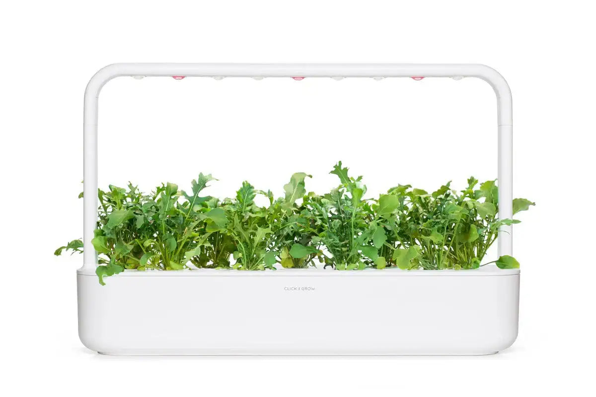 Click & Grow - Smart Garden Refill Arugula - Starter do Uprawy z Nasionami - Rukola