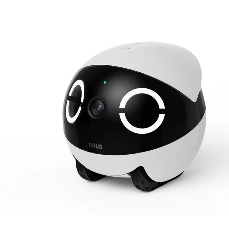 EnaBot - Rola Mini - Mobilny Robot Monitorujący