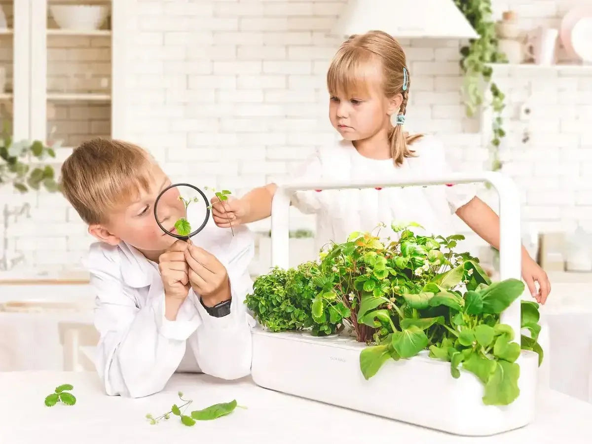 Click & Grow - Smart Garden 9 Starter Kit - Doniczka z Lampą Led do Uprawy Roślin