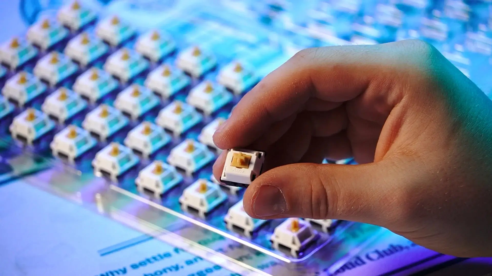 Ręka trzyma przełącznik mechaniczny Akko, w tle rząd przełączników do klawiatury.