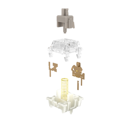 Gateron - Baby Raccoon 2.0 Linear Switch