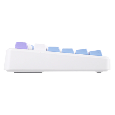 AULA - F75 MAX Mechanical Keyboard with TFT Screen - Klawiatura Mechaniczna - White + Blue