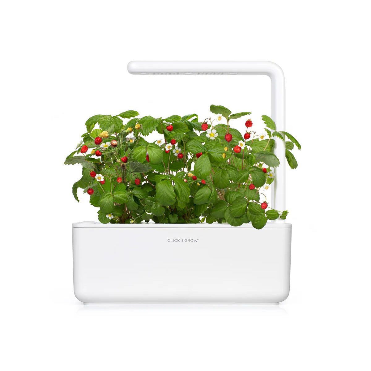 Click & Grow - Smart Garden 3 Indoor Starter Kit - Doniczka z Lampą Led do Uprawy Roślin