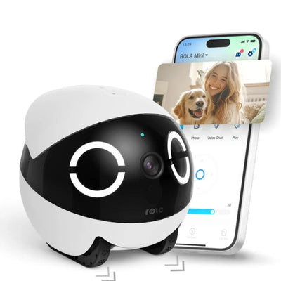 EnaBot - Rola Mini - Mobilny Robot Monitorujący
