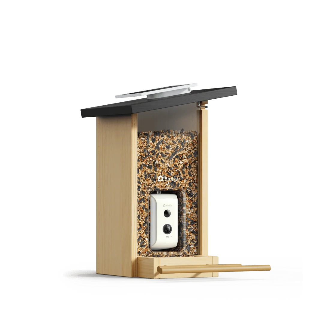 Birdfy - Feeder Ebony - Budka dla Ptaków z Kamerą