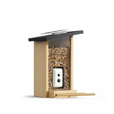 Birdfy - Feeder Ebony - Budka dla Ptaków z Kamerą