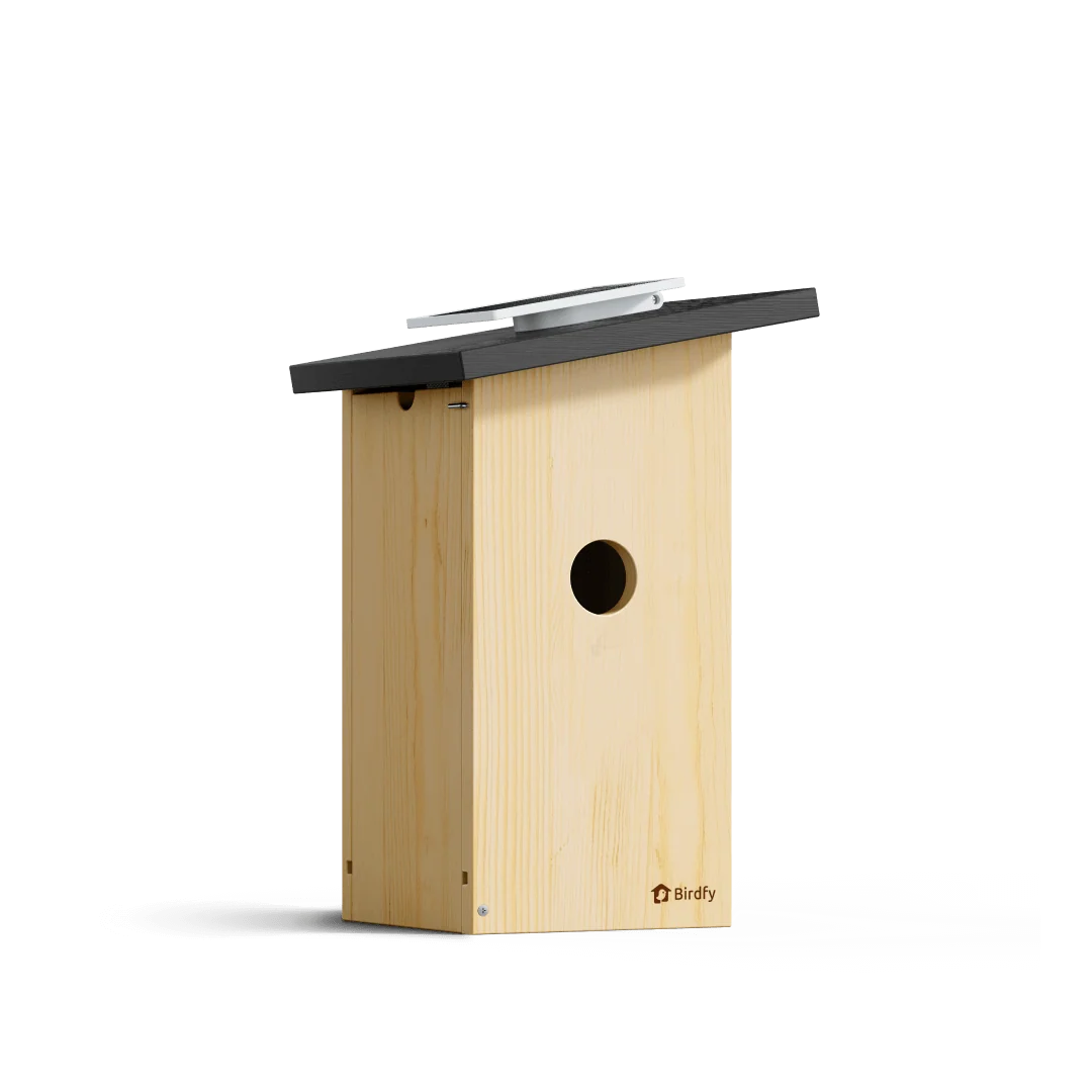 Birdfy - Nest Ebony - Budka Lęgowa dla Ptaków z Kamerą