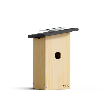 Birdfy - Nest Ebony - Budka Lęgowa dla Ptaków z Kamerą