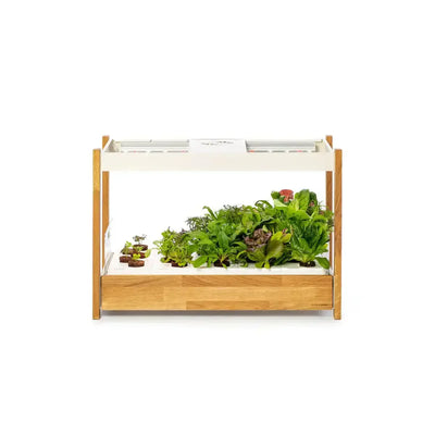 Click & Grow - 25 Indoor Starter Kit - Doniczka z Lampą Led do Uprawy Roślin