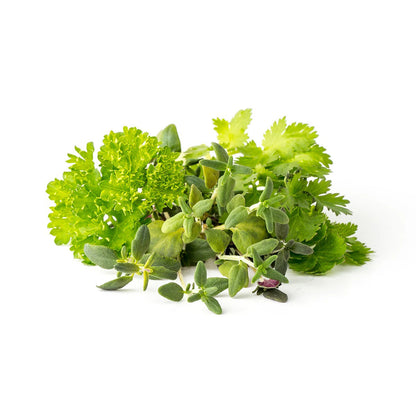 Click & Grow - Smart Garden Refill Steak Seasoning Mix - Starter do Uprawy z Nasionami - Mieszanka Ziół do Grillowania i Steków