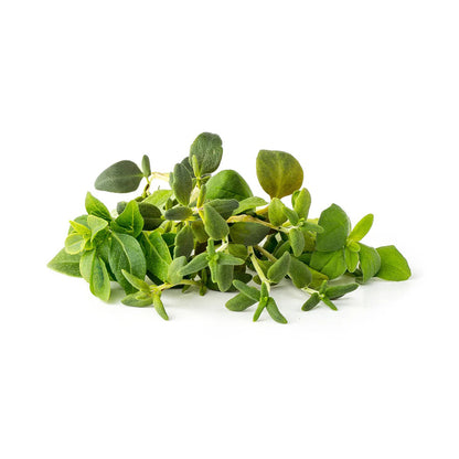 Click & Grow - Smart Garden Refill Italian Herb Mix - Starter do Uprawy z Nasionami - Mieszanka Włoskich Ziół