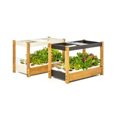 Click & Grow - 25 Indoor Starter Kit - Doniczka z Lampą Led do Uprawy Roślin