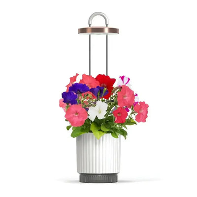 Click & Grow - HydroVase by Ermonix Indoor Plant Care Kit with LED Light - Doniczka z Lampą Led do Uprawy Roślin