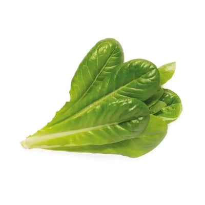 Click & Grow - Smart Garden Refill Romaine Lettuce - Starter do Uprawy z Nasionami - Sałata Rzymska