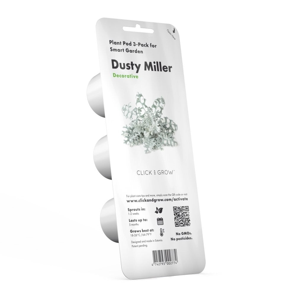 Click & Grow - Smart Garden Refill Dusty Miller - Starter do Uprawy z Nasionami - Starzec Popielny