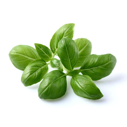 Click & Grow - Smart Garden Refill Basil - Starter do Uprawy z Nasionami - Bazylia