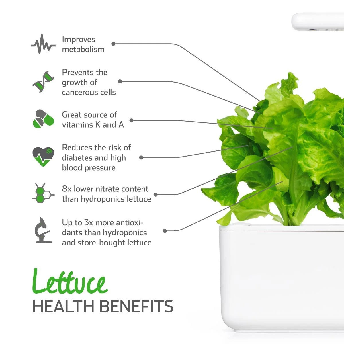 Click & Grow - Smart Garden Refill Green Lettuce - Starter do Uprawy z Nasionami - Sałata Siewna