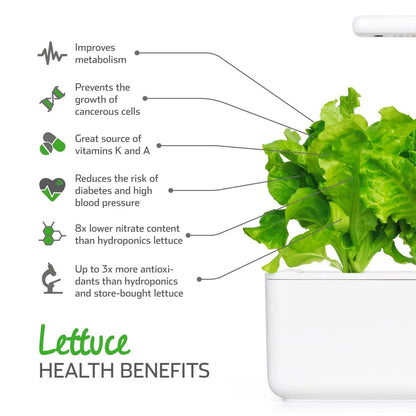 Click & Grow - Smart Garden Refill Green Lettuce - Starter do Uprawy z Nasionami - Sałata Siewna