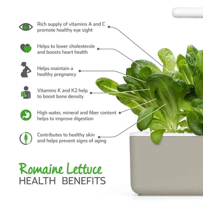 Click & Grow - Smart Garden Refill Romaine Lettuce - Starter do Uprawy z Nasionami - Sałata Rzymska