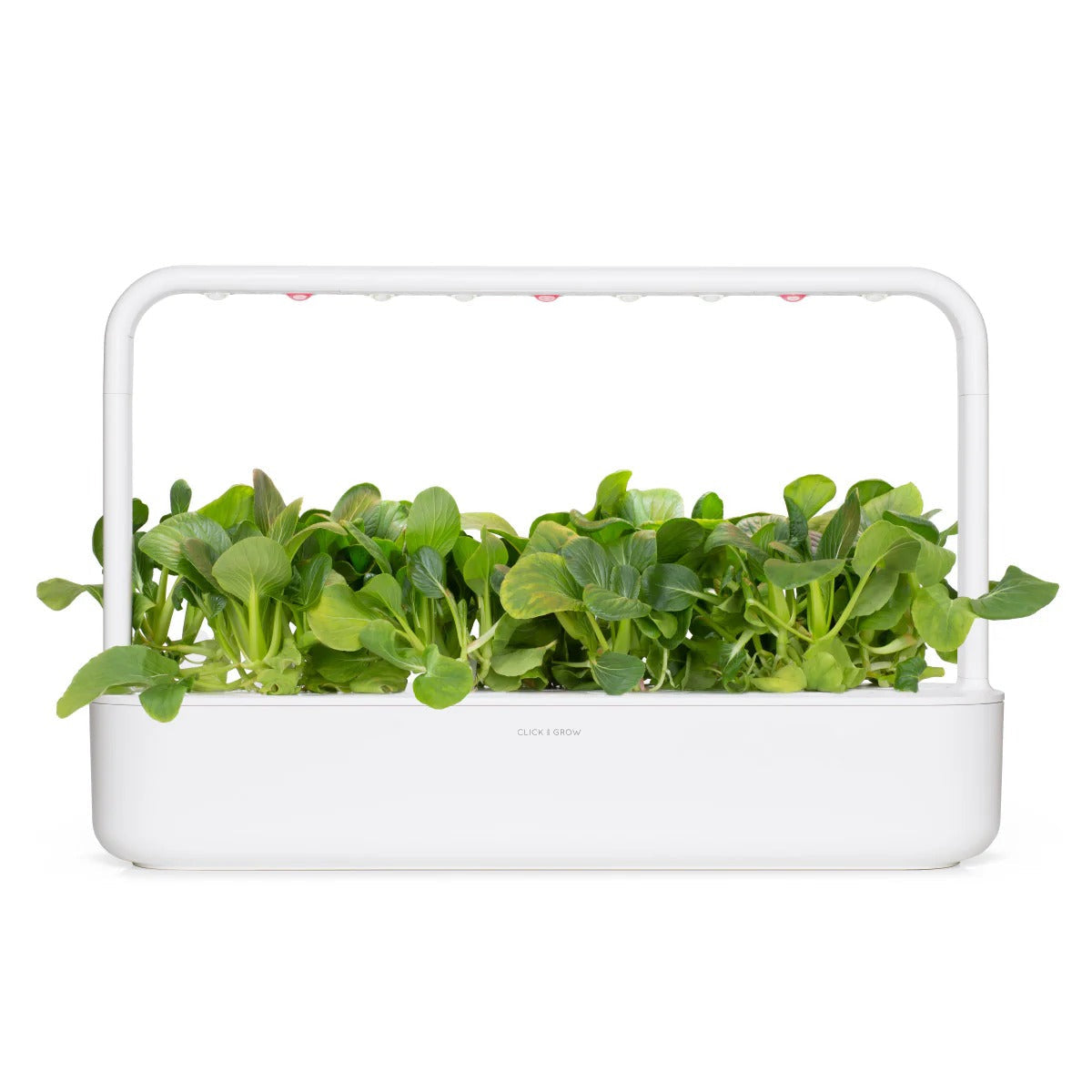 Click & Grow - Smart Garden Refill Pak Choi - Starter do Uprawy z Nasionami - Kapusta Pak Choi