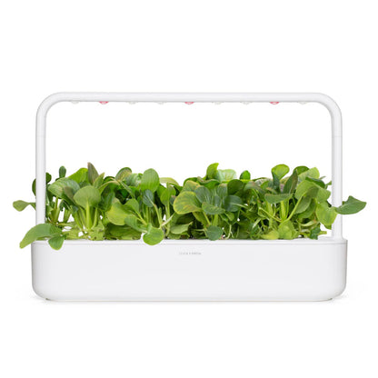 Click & Grow - Smart Garden Refill Pak Choi - Starter do Uprawy z Nasionami - Kapusta Pak Choi