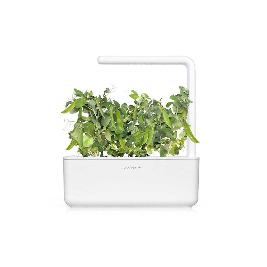 Click & Grow - Smart Garden Refill Dwarf Peas - Starter do Uprawy z Nasionami - Groch Karłowaty