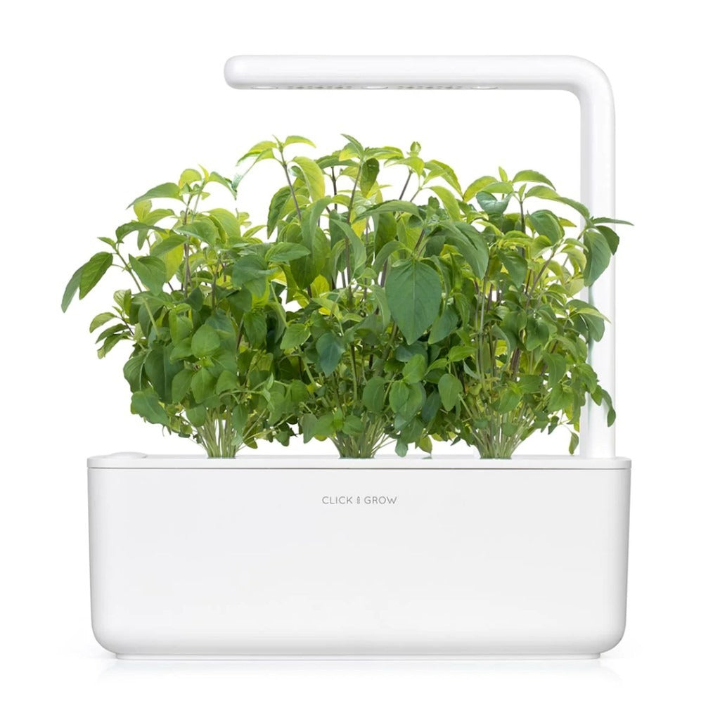 Click & Grow - Smart Garden Refill Thai Basil - Starter do Uprawy z Nasionami - Bazylia Tajska