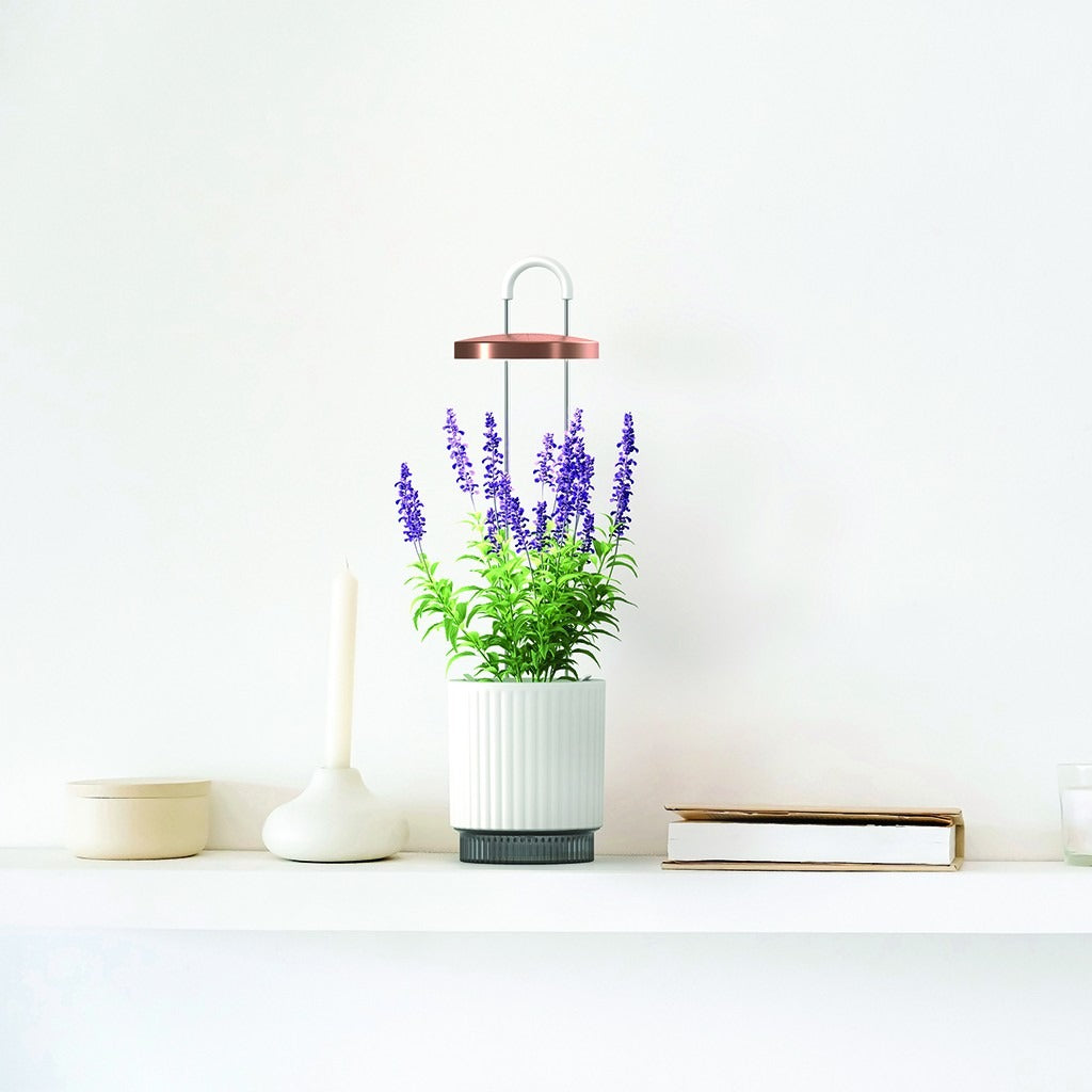 Click & Grow - HydroVase by Ermonix Indoor Plant Care Kit with LED Light - Doniczka z Lampą Led do Uprawy Roślin