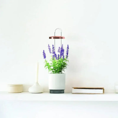 Click & Grow - HydroVase by Ermonix Indoor Plant Care Kit with LED Light - Doniczka z Lampą Led do Uprawy Roślin