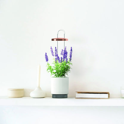 Click & Grow - HydroVase by Ermonix Indoor Plant Care Kit with LED Light - Doniczka z Lampą Led do Uprawy Roślin