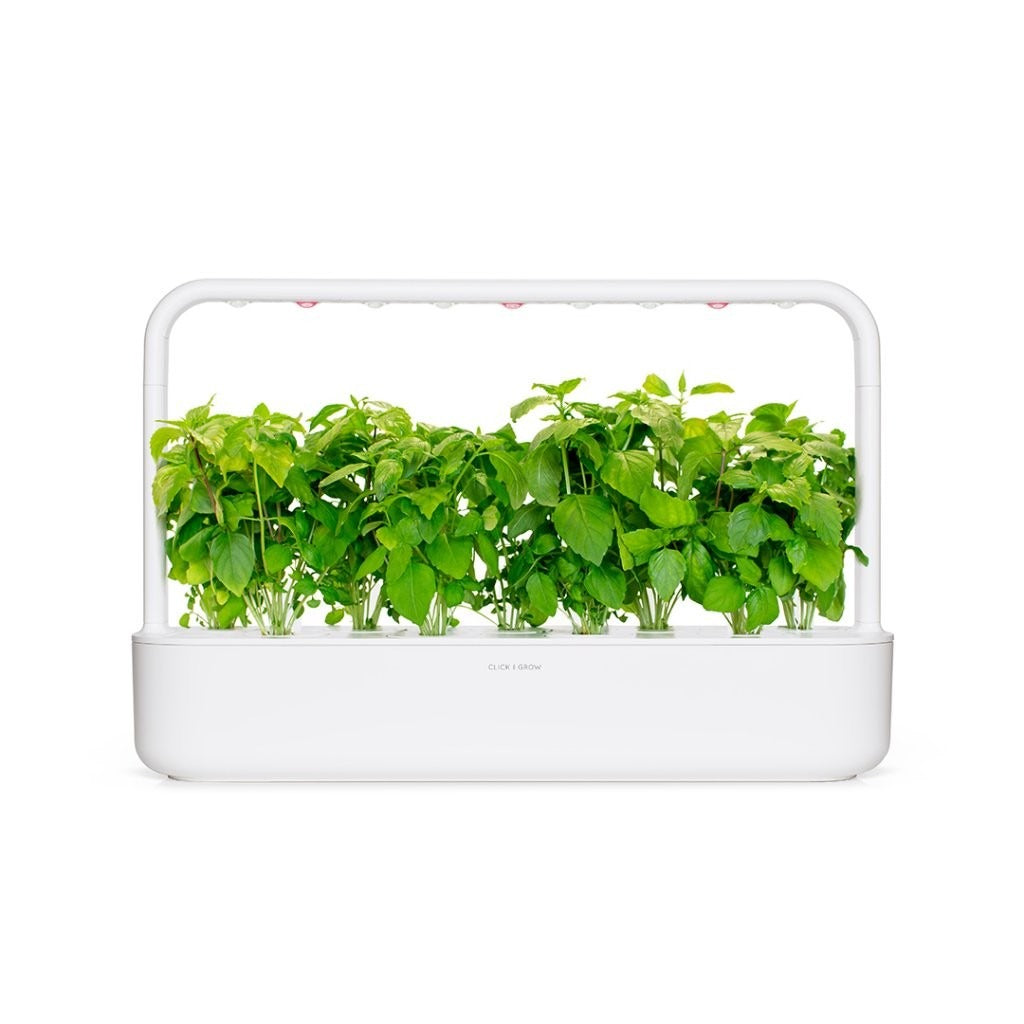 Click & Grow - Smart Garden Refill Cinnamon Basil - Starter do Uprawy z Nasionami - Bazylia Cynamonowa