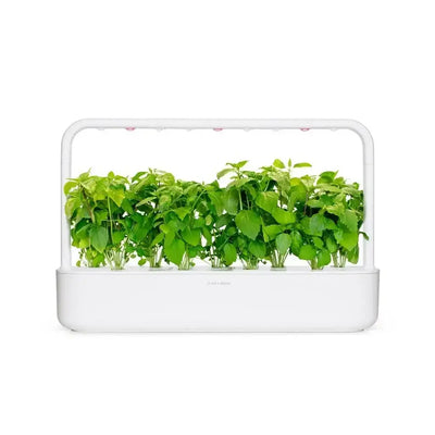 Click & Grow - Smart Garden Refill Cinnamon Basil - Starter do Uprawy z Nasionami - Bazylia Cynamonowa
