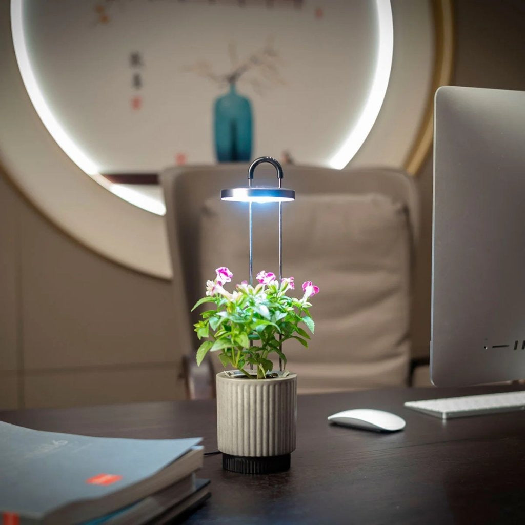 Click & Grow - HydroVase by Ermonix Indoor Plant Care Kit with LED Light - Doniczka z Lampą Led do Uprawy Roślin
