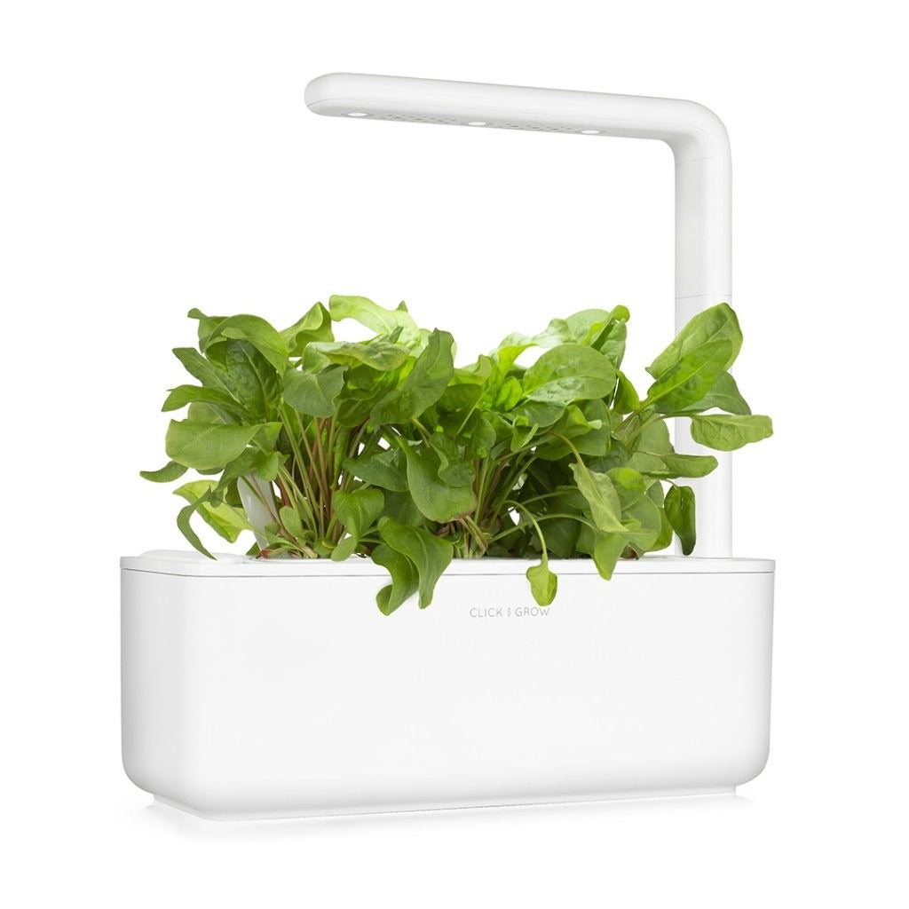 Click & Grow - Smart Garden Refill Green Sorrel - Starter do Uprawy z Nasionami - Szczaw Zwyczajny