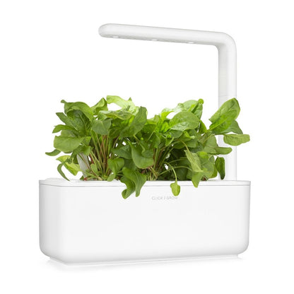 Click & Grow - Smart Garden Refill Green Sorrel - Starter do Uprawy z Nasionami - Szczaw Zwyczajny