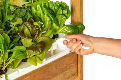 Click & Grow - 25 Indoor Starter Kit - Doniczka z Lampą Led do Uprawy Roślin