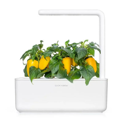 Click & Grow - Smart Garden Refill Yellow Sweet Peppers - Starter do Uprawy z Nasionami - Żółta Papryka Słodka