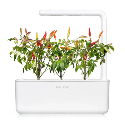 Click & Grow - Smart Garden Refill Red Hot Chili Pepper - Starter do Uprawy z Nasionami - Czerwona Ostra Papryka Chili
