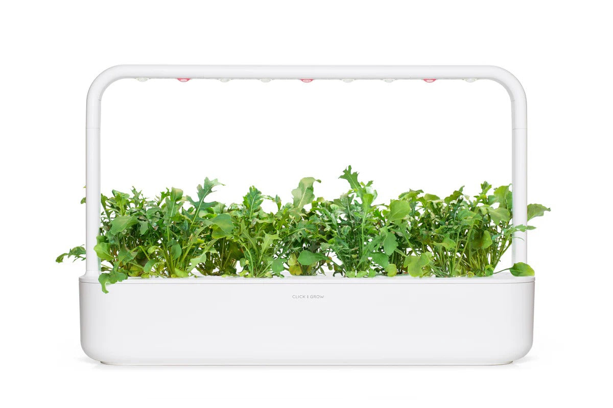 Click & Grow - Smart Garden Refill Arugula - Starter do Uprawy z Nasionami - Rukola
