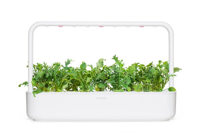 Click & Grow - Smart Garden Refill Arugula - Starter do Uprawy z Nasionami - Rukola