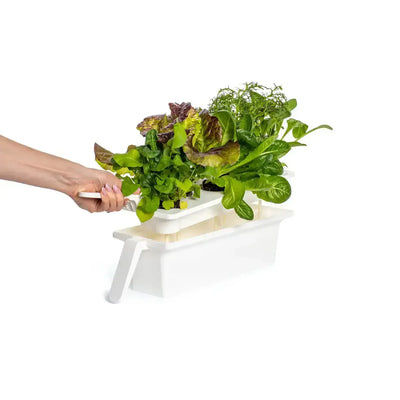 Click & Grow - 25 Indoor Starter Kit - Doniczka z Lampą Led do Uprawy Roślin